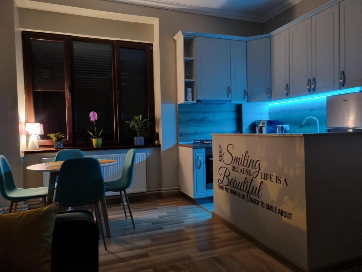 City Inn Premium Apartment 2 Тимишоара Экстерьер фото